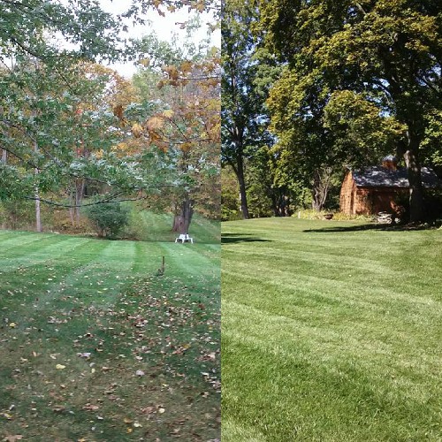 expert fall landscape clean up Bloomfield Hills, MI