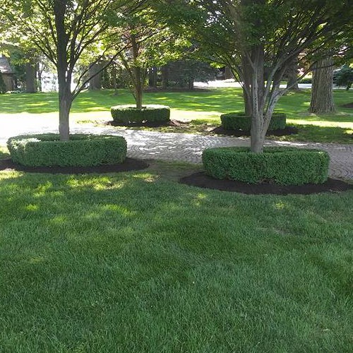expert shrub and tree maintenance Bloomfield Hills, MI