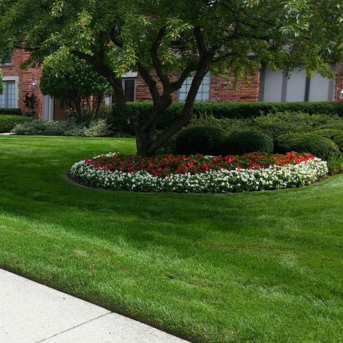 expert spring landscape clean up Bloomfield Hills, MI