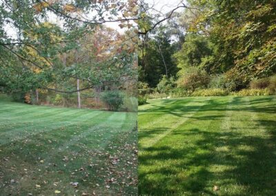 fall leaves cleanup service Bloomfield Hills, MI