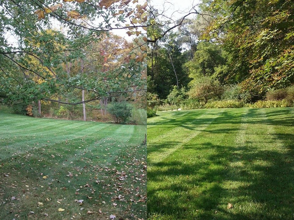 fall leaves cleanup service Bloomfield Hills, MI